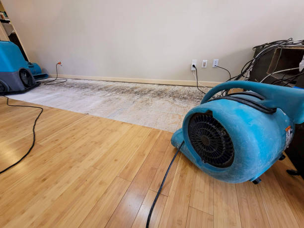 Professional Water Extraction technician working in Des Plaines, IL